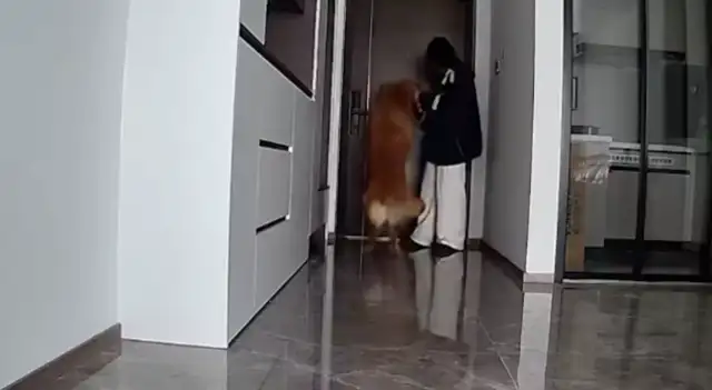 The woman asked who could help her walk her dog, and the friends went to her house without telling each other