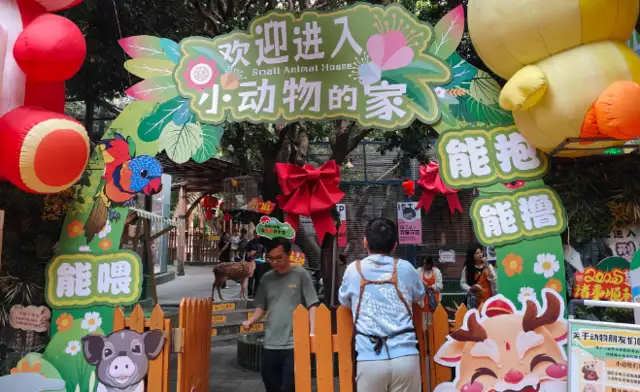 Shenzhen Outdoor Pet Culture Week: A New Place of Love and Friendship