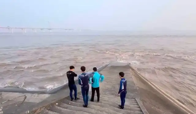 Dolphins show up three times, and the relevant departments are ready for rescue