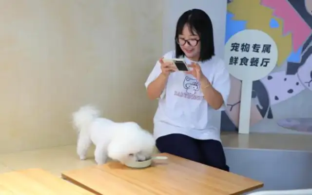 The pet-friendly scene, the "up and up," and it's a new wave