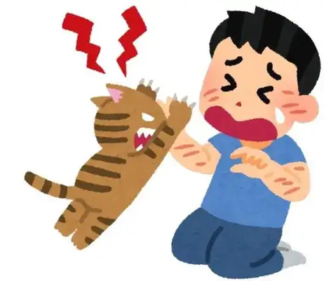 A stray cat scratches a minor
