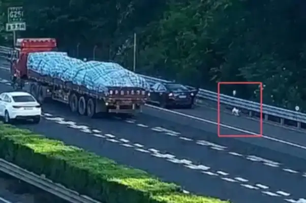 It's all over the car. Men's emergency lanes can't smell shit
