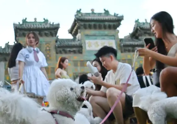 Innovative consumption scenes. Move