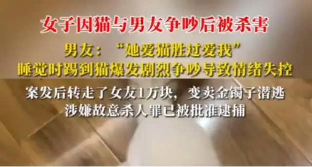 Shanghai lovers have been arrested and murdered by their murdered boyfriend because of a cat dispute