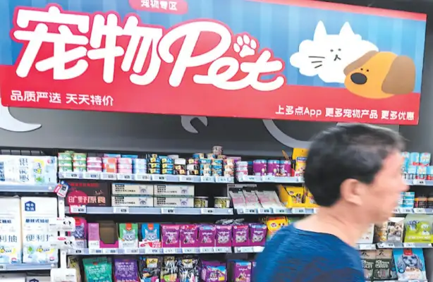 The heat of the pet economy is rising, and the potential for consumption of the new blue sea is high