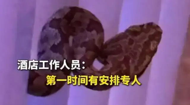The hotel lobby surprised the snake. The kid thought it was a fake snake