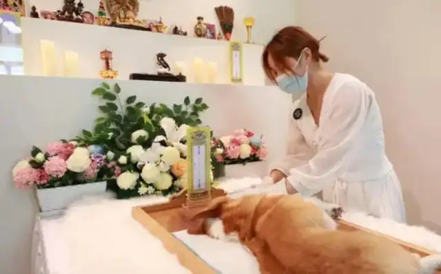 Paternal funerals: environmental and emotional needs have led to normative changes