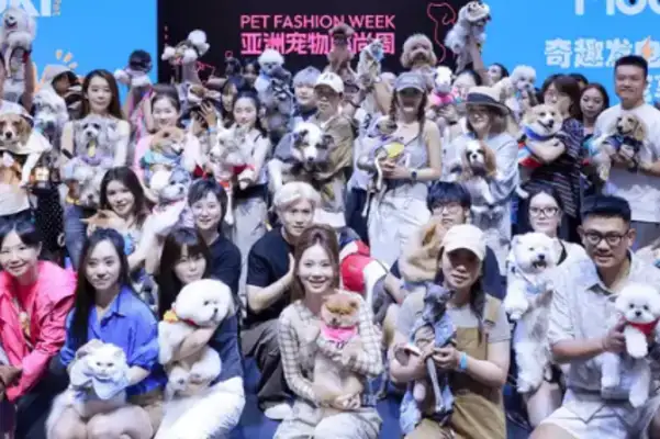 Let's get a new record! The 5 days of the APA show attracts more than 520,000 people