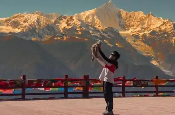 The pet-friendly scenes are "up and down" and they're on a new wave