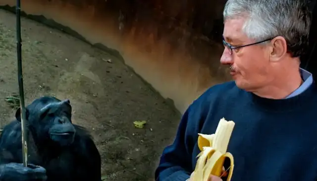 Fifty-nine-year-old chimpanzees refused to eat until they heard familiar voices