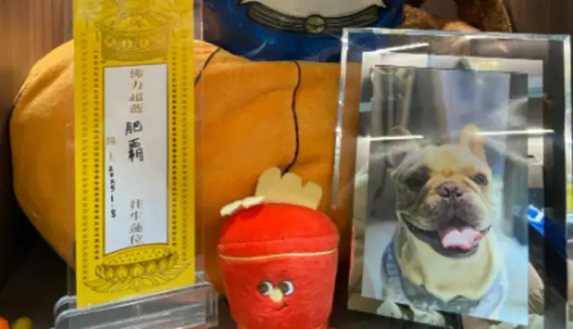 What are the grey areas left in the custody of the normal “undocumented operation” of pet burials