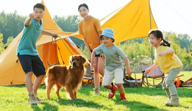 The pet economy is “turning out”: the twin movement between emotional needs and industrial upgrading