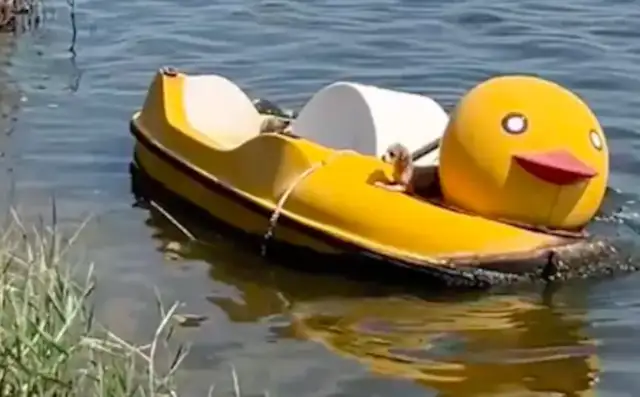 The students repeatedly threw the dog into the river, and he was forced to swim across the river to escape