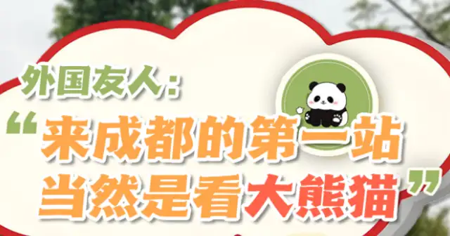Foreign friend: The first stop to Chengdu, of course, is the big panda