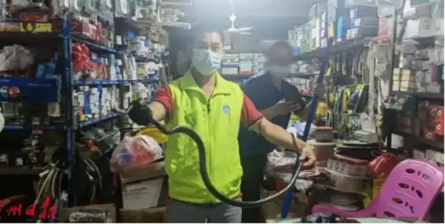 Snake out! Okay