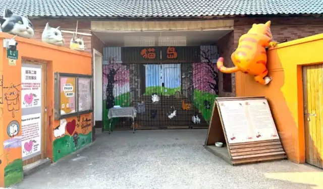 From shelter to symbiotic life, Shanghai Cat Island became a sample of urban governance