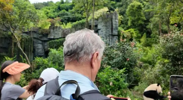 The world filmmaker Chengdu Panda Valley meets the treasure of the country and talks about movies and cultural exchanges