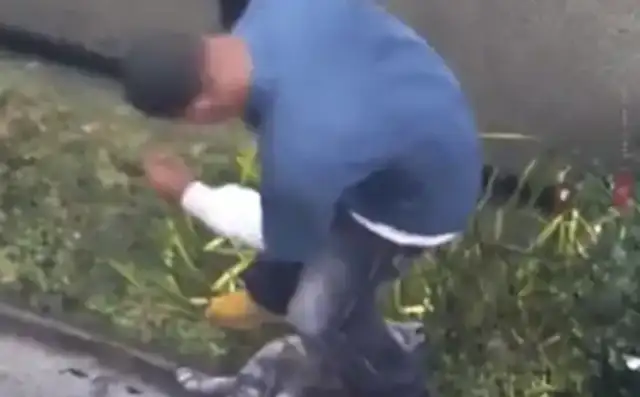 The country's first case of cat abuse! The man killed more than 20 cats