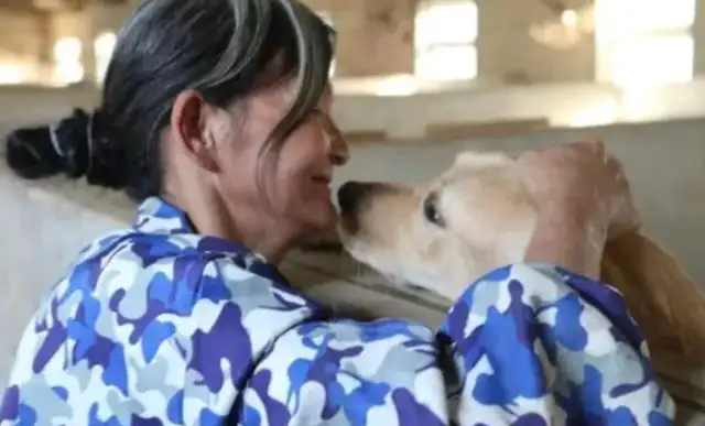 Mrs. Wu has been helping stray dogs for 20 years