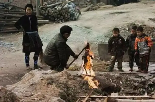 There was a stray dog in the neighborhood, and the security man burned the fire: barbecue dog