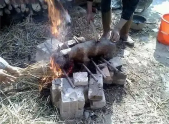 There was a stray dog in the neighborhood, and the security man burned the fire: barbecue dog