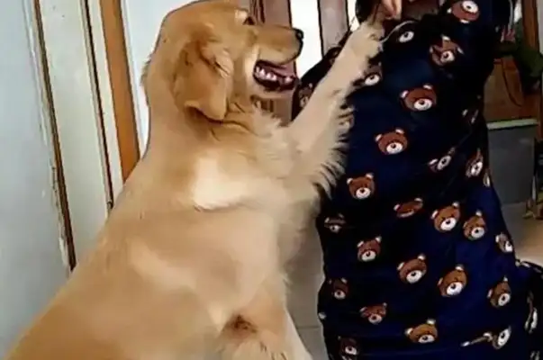 The master tests the dog, plays dead, and the dog moves so warm