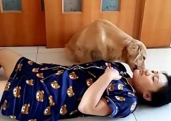 The master tests the dog, plays dead, and the dog moves so warm