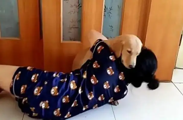 The master tests the dog, plays dead, and the dog moves so warm