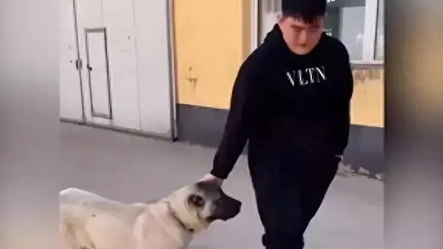 Zhao Benshan's son has a reputation