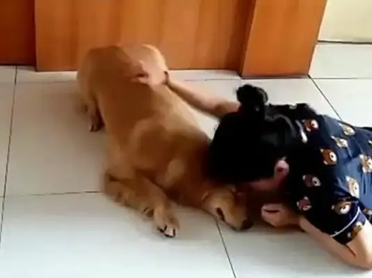The master tests the dog, plays dead, and the dog moves so warm