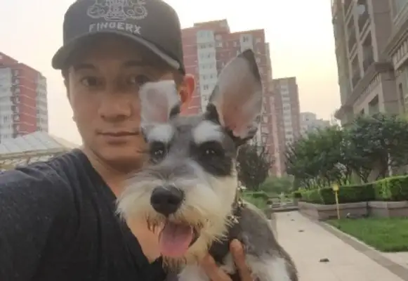 Wu Chilong takes a picture with a cage and learns how to play on the carpet with a dog