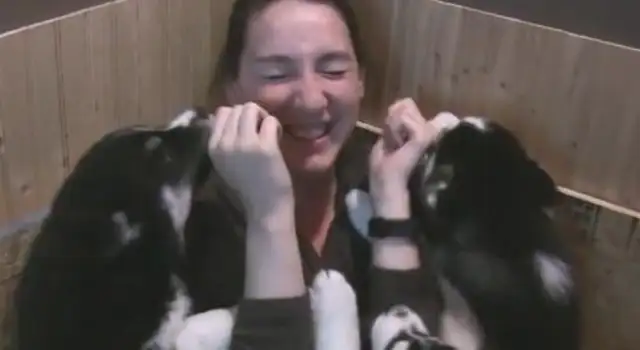He's got seven pups, and he won't get up on the ground