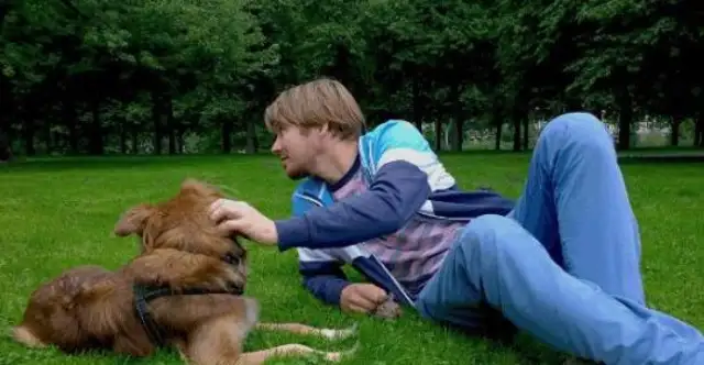 Japan did everything possible to eliminate stray dogs, and Germany used its policy to protect dogs, which is the gap!