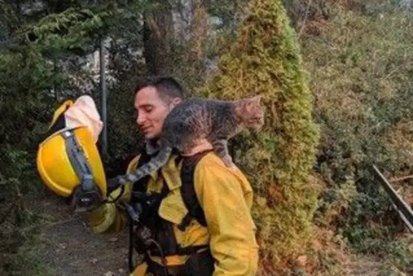 A firefighter has to save a good friend