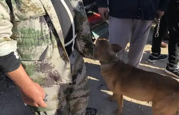 An old man sells a dog he's been raising for years