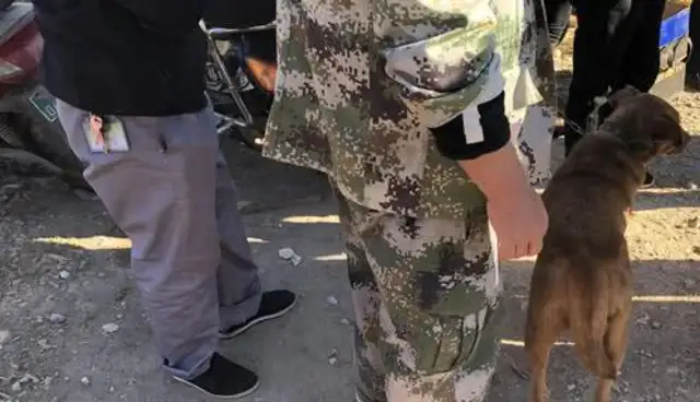 An old man sells a dog he's been raising for years