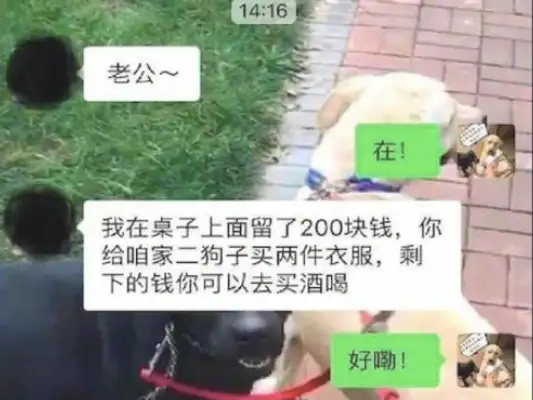 The wife left 200 for the dog, and the husband put a box in his hand