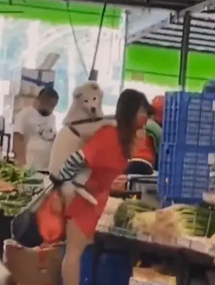 A girl, like a child on her back, goes to the market with a pet dog