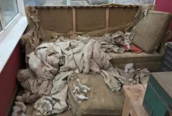 The dog bit the couch. More than 10,000 bites back and forth