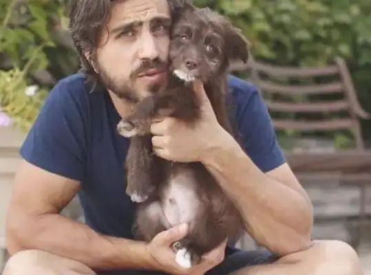 The master is too worried because he looks like a dog
