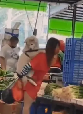 A girl, like a child on her back, goes to the market with a pet dog