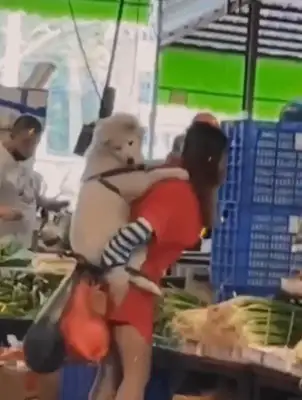A girl, like a child on her back, goes to the market with a pet dog