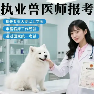 Cat potassium haematology: symptoms, causes and treatment