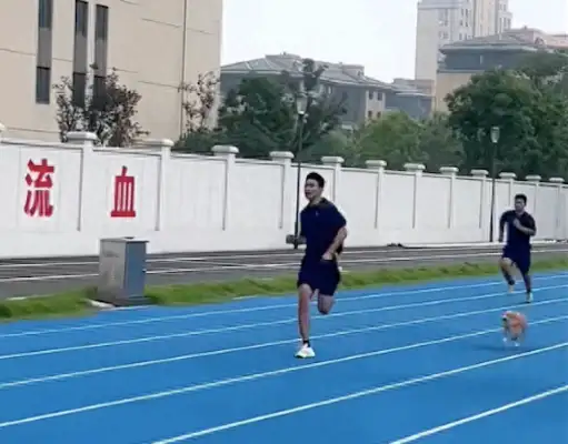 Dogs and firefighters race from back to the top of the finish line