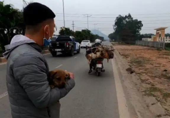 A caged dog is sent to the dog's butcher's house. The nice boy saves the next one