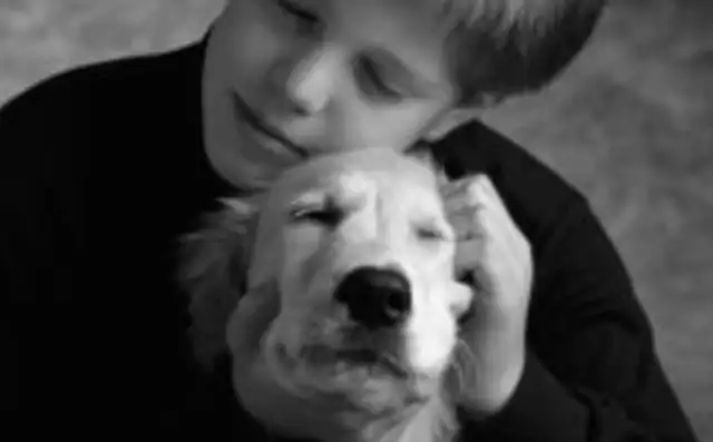 A 19-year-old boy with a "psychological heat" kicks a pet dog to death