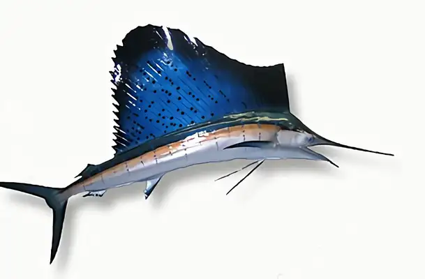 American Flagfish Identity Information