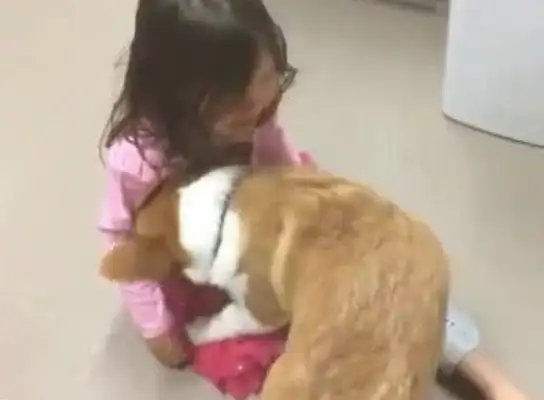 The little girl cried so hard that she bothered the dog, that when it was silently approaching the next second, she looked at the tears!