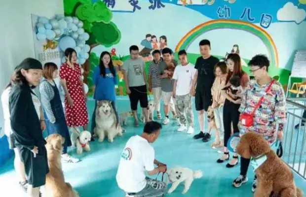 Chinan has his first civilized dog club
