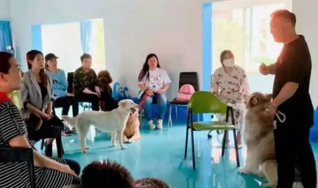 Chinan has his first civilized dog club